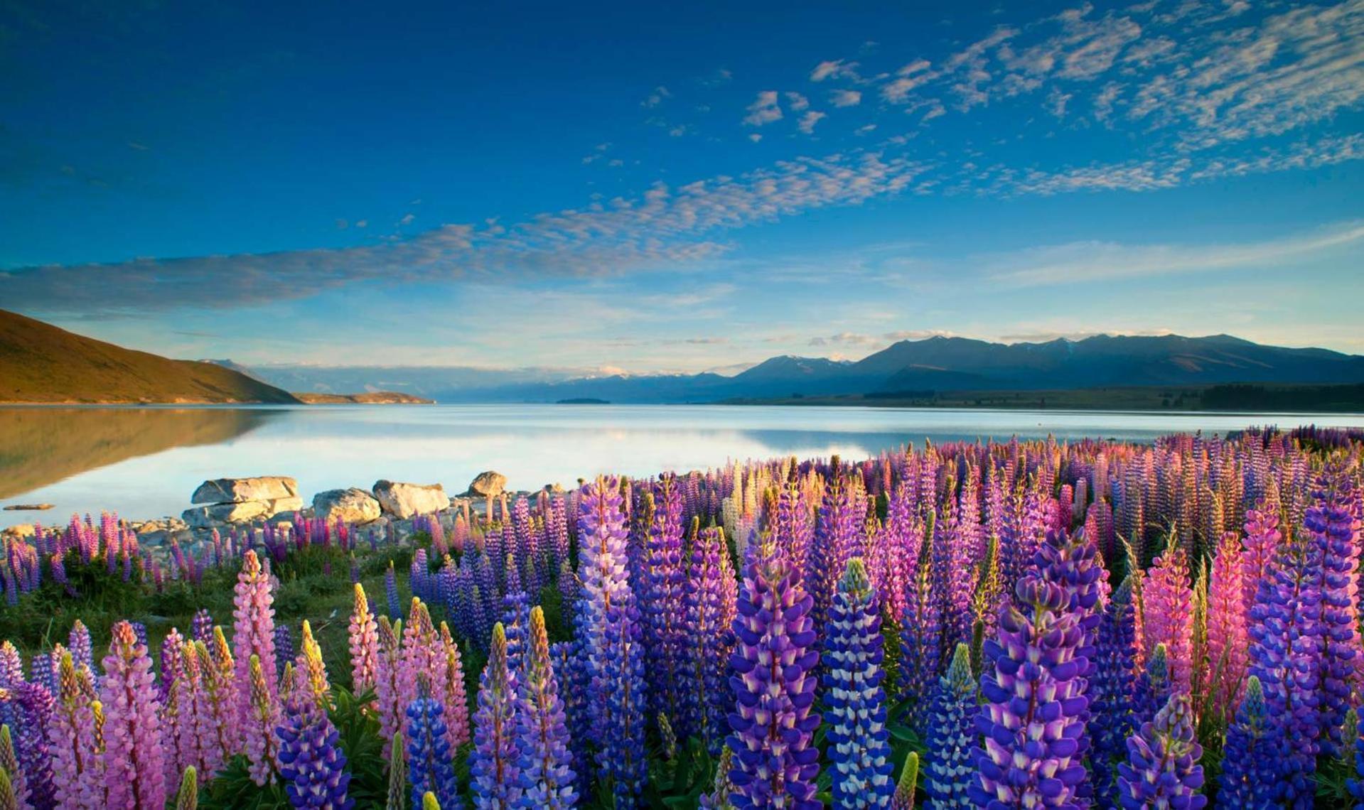 Tekapo1929 Lakefront Villa レイク・テカポ エクステリア 写真